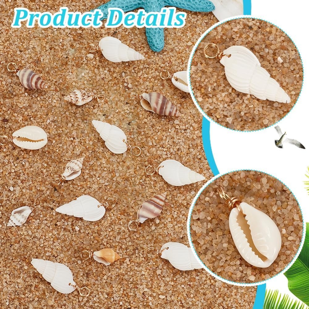 100pcs 4 Styles Natural Shell  - Jewelry Making For Beginners 评论和价格